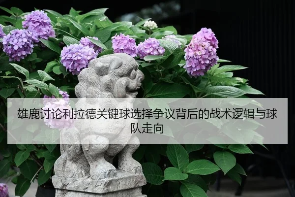 img_1783104148473_671_0_538.jpg